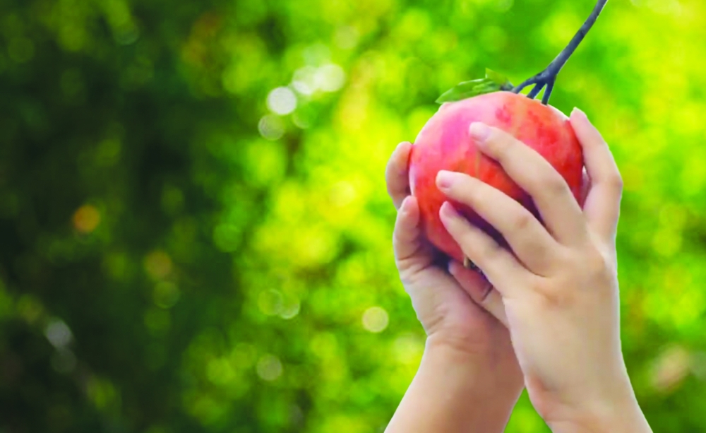 Expect fun-filled activities in Rummana's second edition