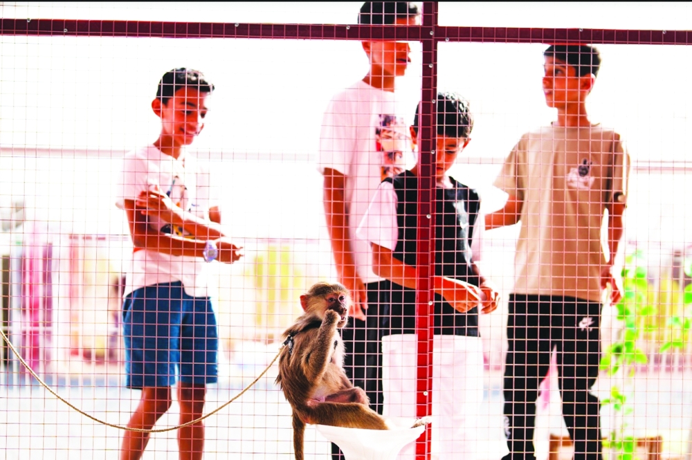 Expect fun-filled activities in Rummana's second edition