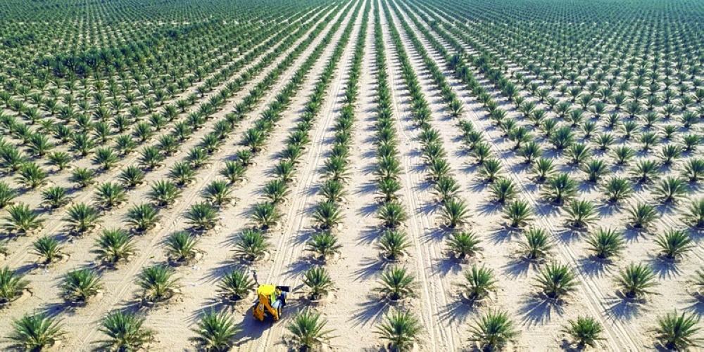 New agri-investment opportunities launched in Al Dhahirah