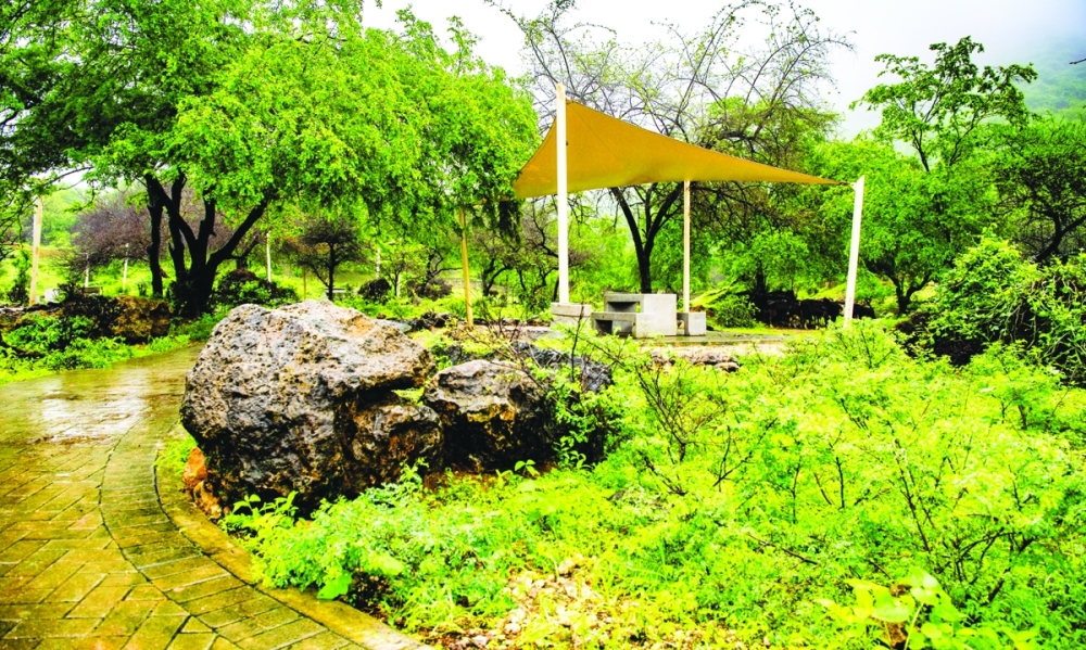 Ain Jarziz has rock formations, lush greenery, and abundant wildlife