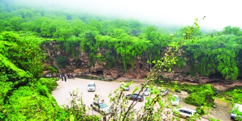 Ain Jarziz is Salalah’s sought-after natural oasis
