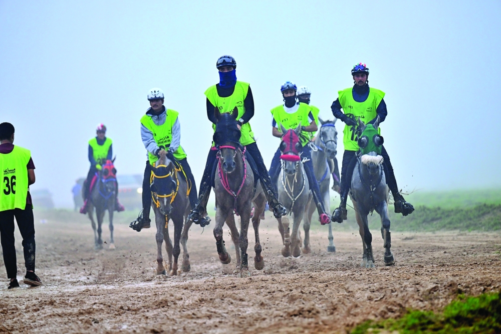  Dhofar khareef 2024 Local Endurance Race