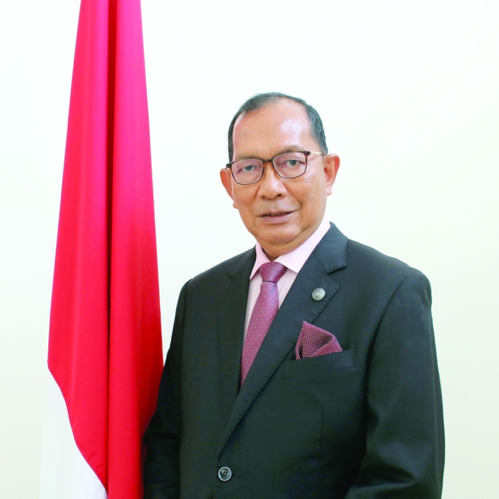 Mohamad Irzan Djohan, Ambassador of Indonesia