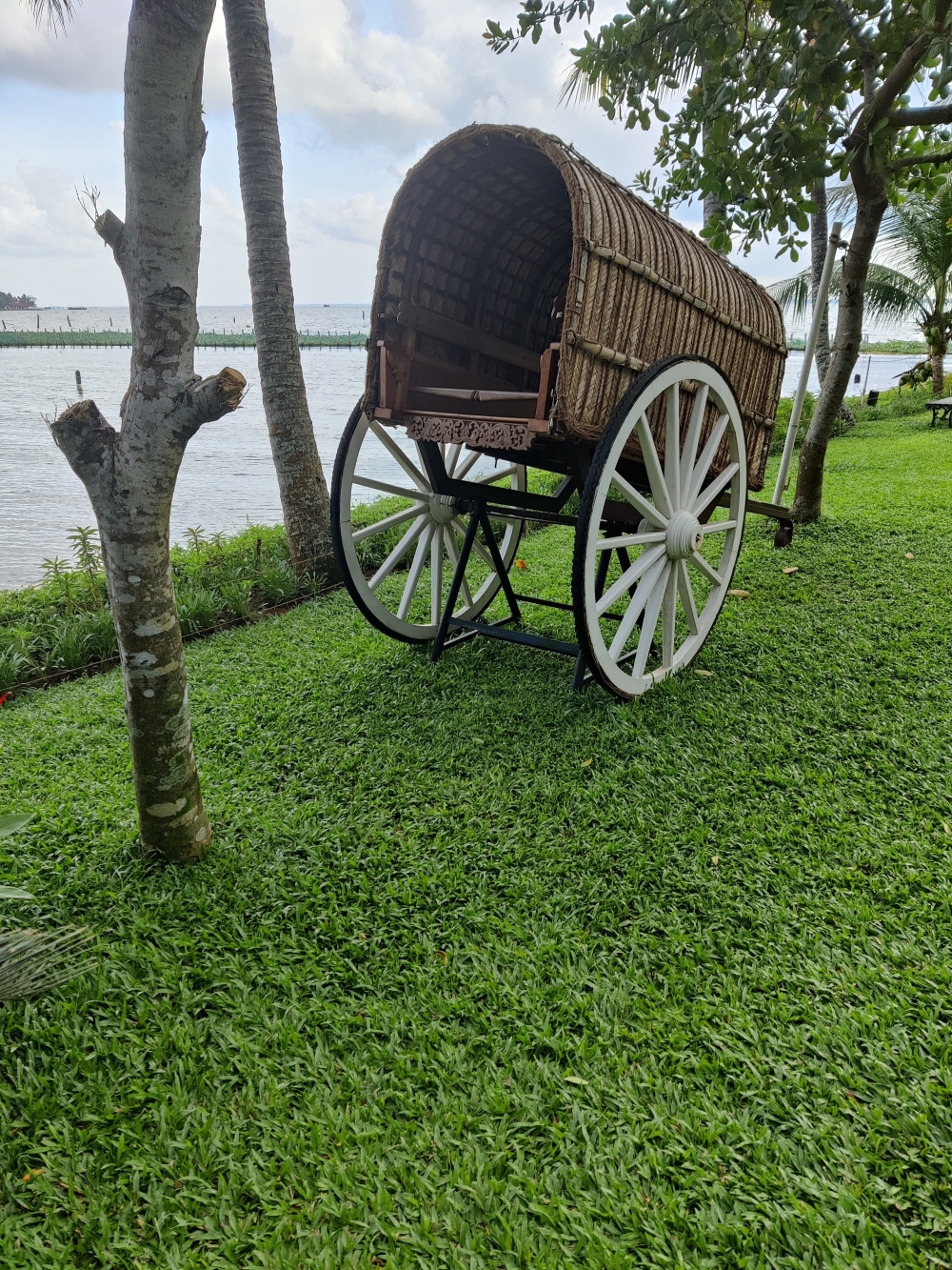 Traditional cart at the Kumarakom Lake Resort