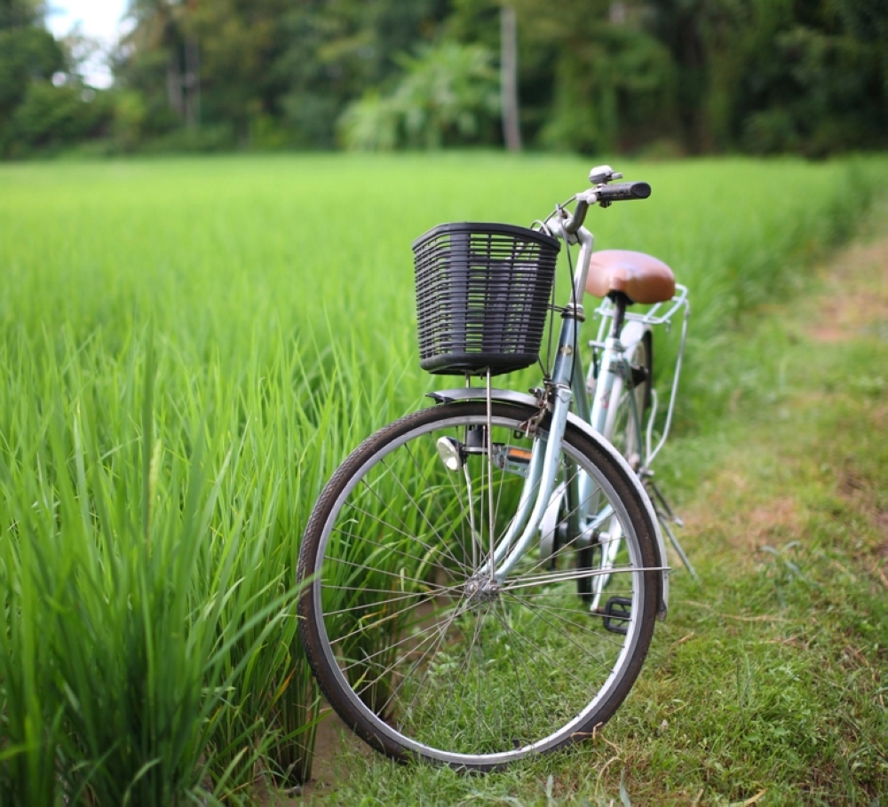 Cycle tours on Kumarakom village