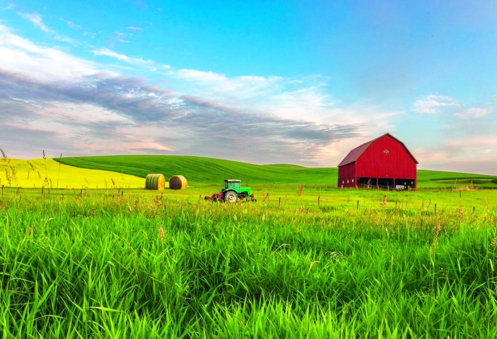 Washington State: A Journey Through the Lens of a Former Omani Student