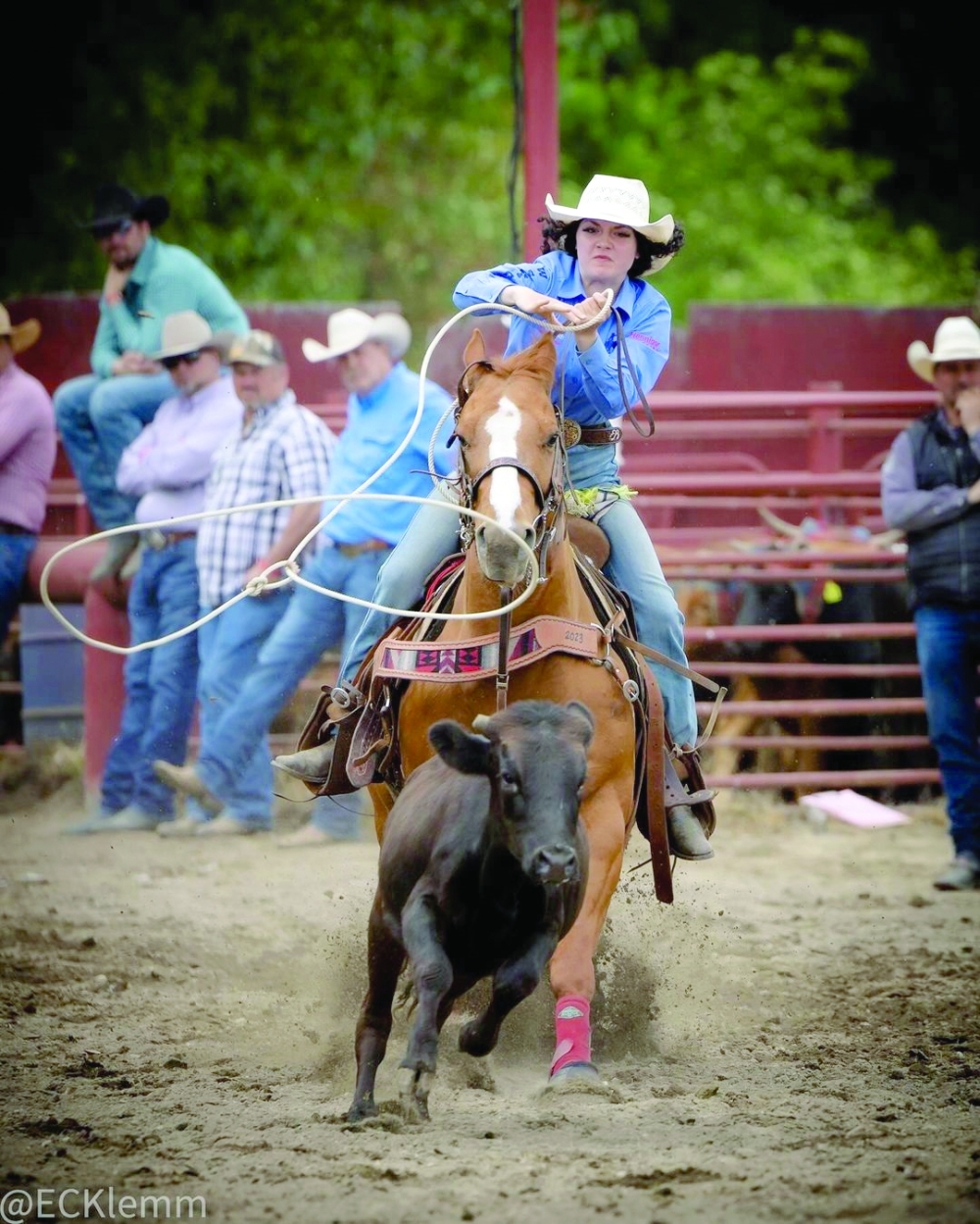 Washington State: A Journey Through the Lens of a Former Omani Student