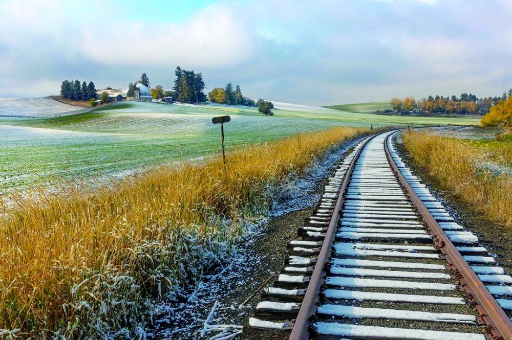 Washington State: A Journey Through the Lens of a Former Omani Student