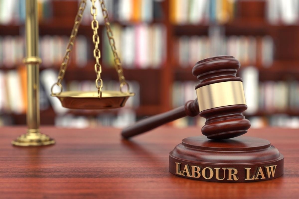 Judicial Law Enforcement Officers are responsible for registering and controlling violations committed by employers and workers in violation of the provisions of the Labor Law 