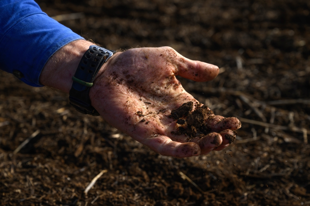 Stuart McDonald, a fifth-generation farmer, with a handful of dirt from a field freshly sown with Canola seeds coated with Loam Bios fungal treatment, near Canowindra, Australia, April 24, 2024. 