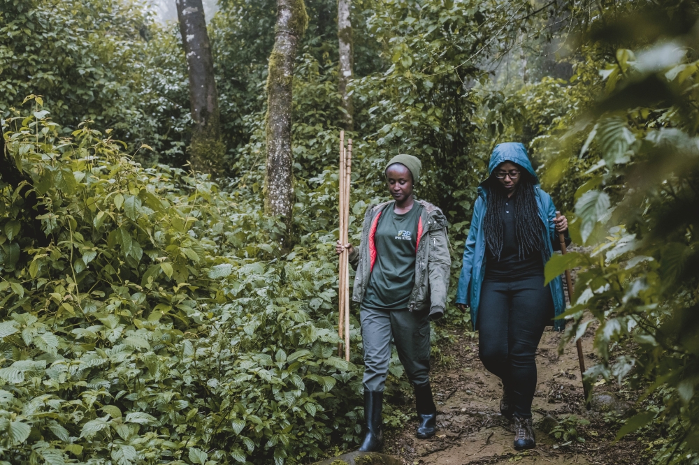 Heritage safaris  1 (16) - Copy