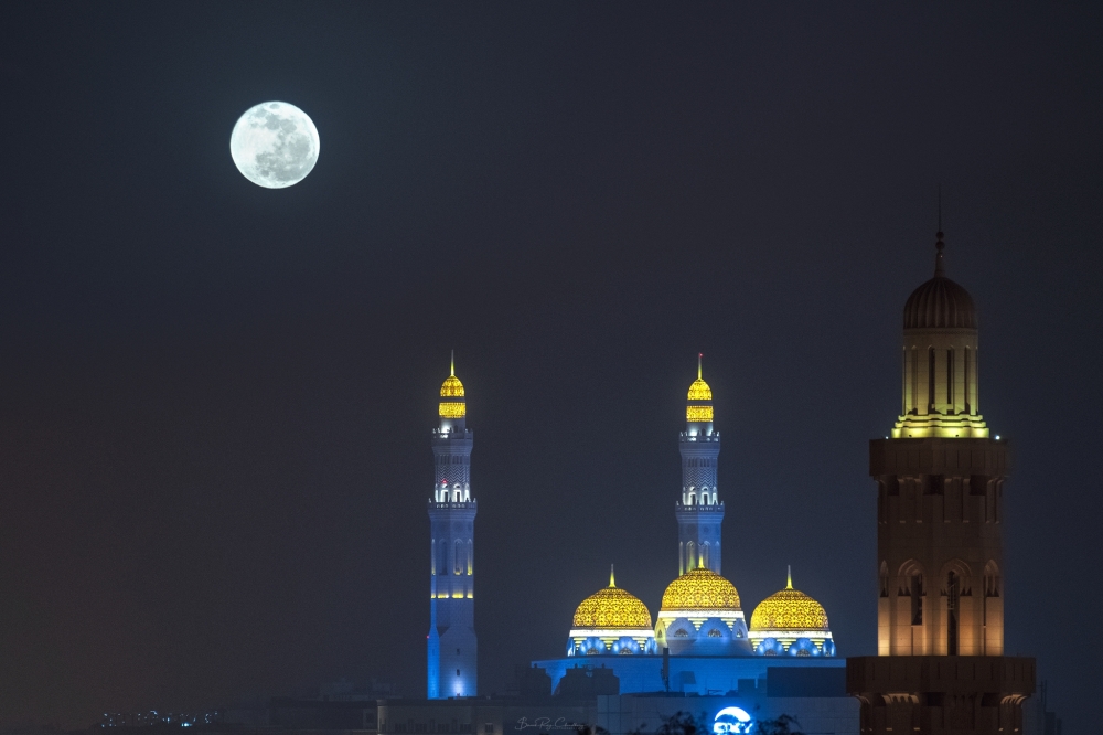 Photo: Sanak Roy Choudhury 