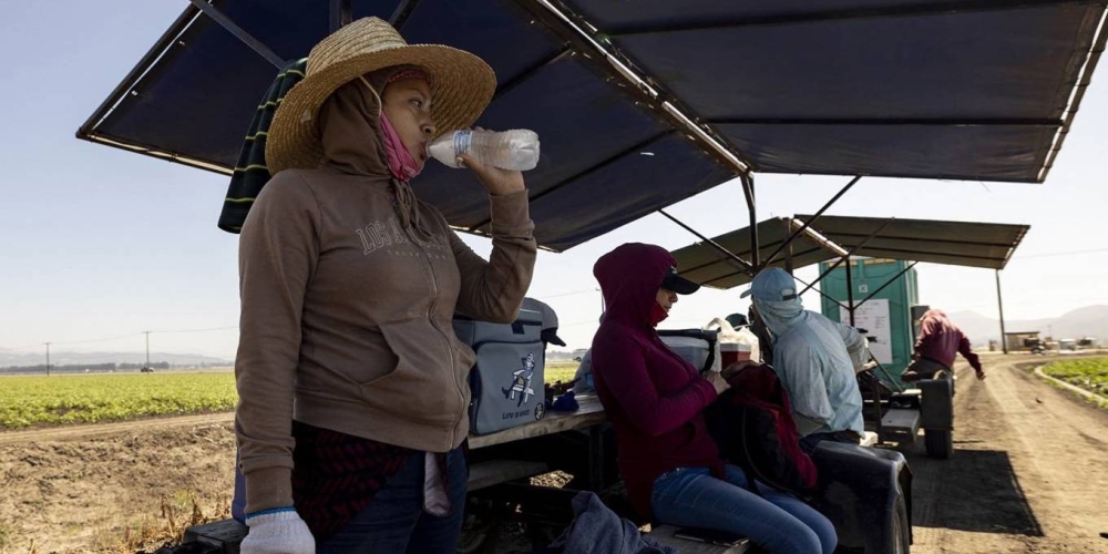 More than 2.4 billion workers worldwide are exposed to extreme heat annually.