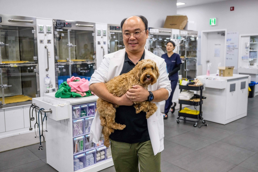 Oh I-se, vet and CEO of Sky Animal Medical Group, carrying goldendoodle Mozzi before using the 'X Caliber' software 