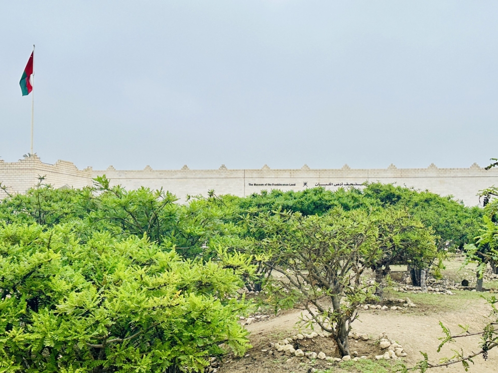 A scientific model housed within the Museum of the Frankincense Land provides a detailed representation of Wadi Dawkah 


 