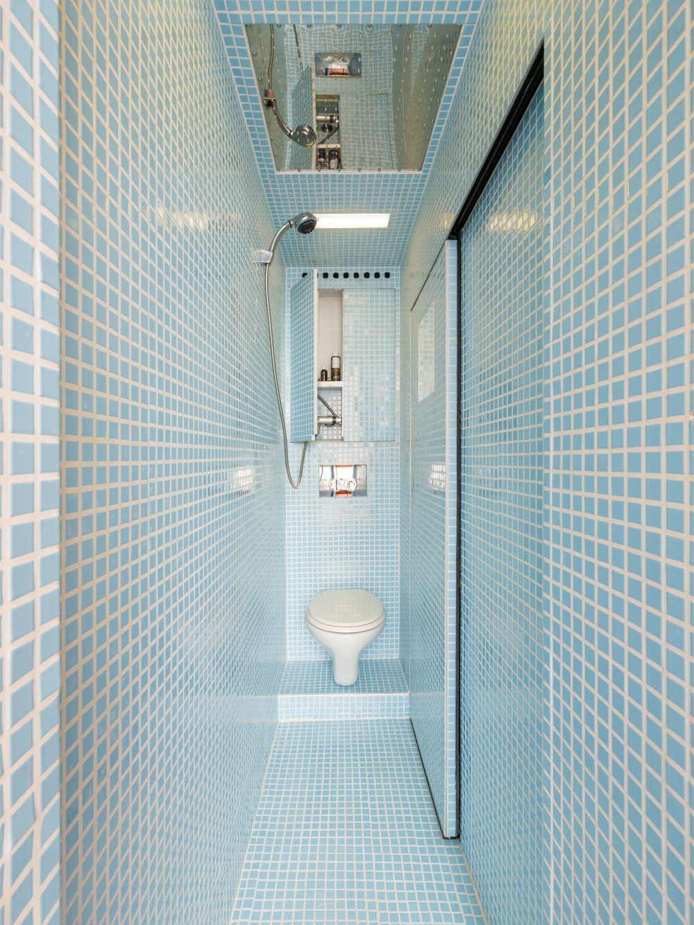 A 12-square-foot, sky-blue shower room with a toilet in the tiny apartment designed by Beatriz Ramo L