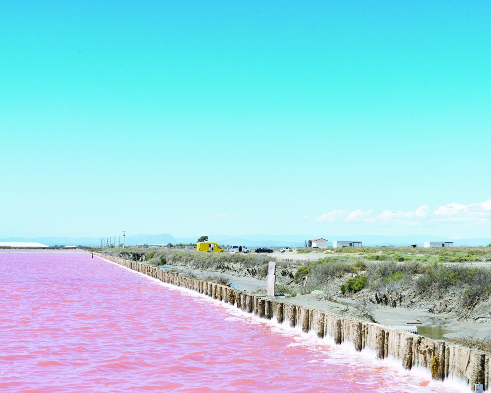 A salt marsh, which glows pink in the summer, near the town of Aigues-Mortes, in the Camargue region of France, July 7, 2024. (Alex Cretey-Systermans/The New York Times)