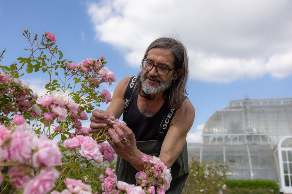 Carlos Magdalena examines flowers at Kew Gardens in London