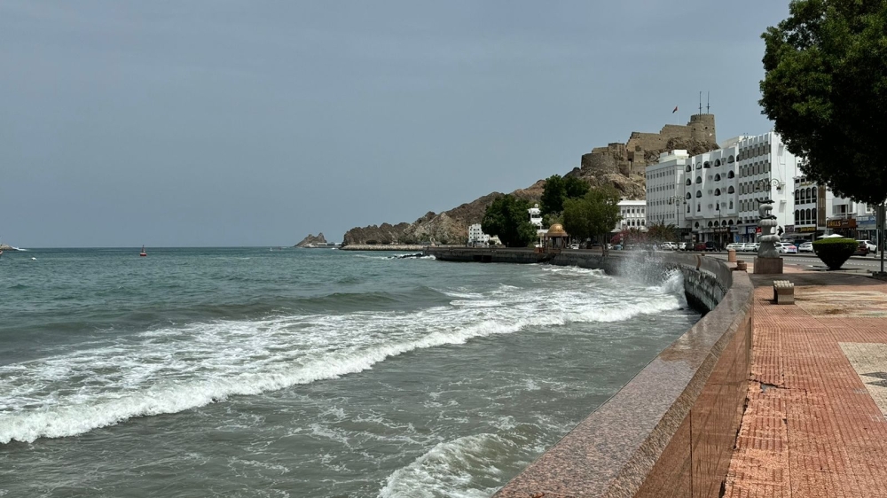 WhatsApp Image 2024-09-01 at 13.06.24