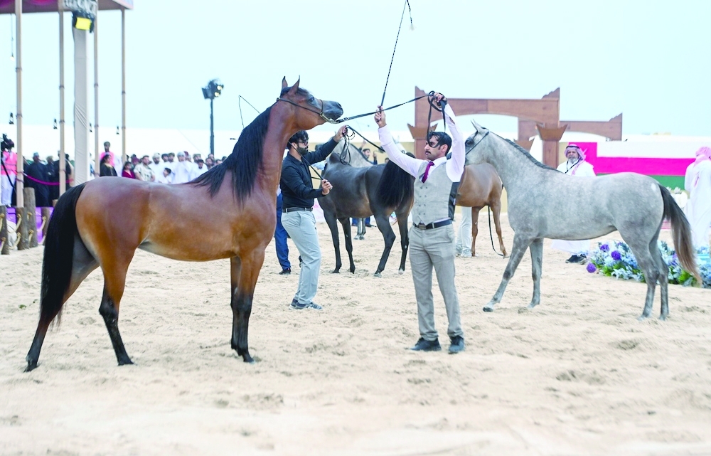 The event saw the participation of over 50 horses owned by local breeders.