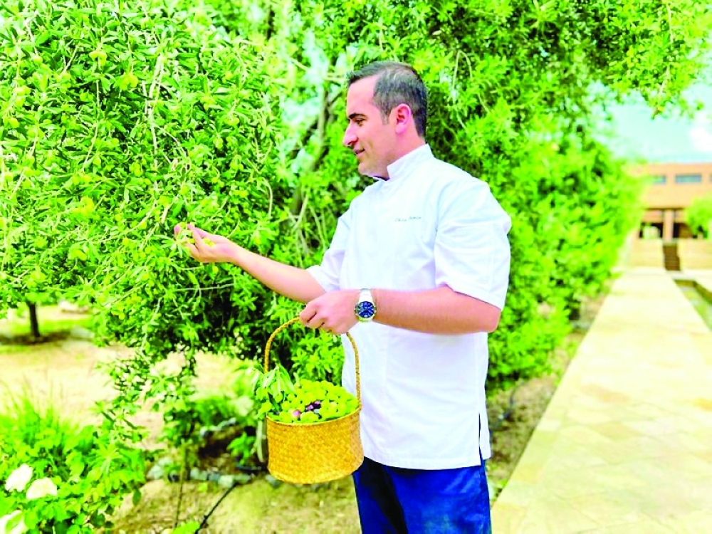 Al Jabal Al Akhdhar gearing up for Olive Harvest Festival
