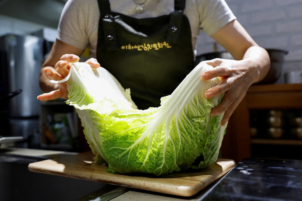 An apprentice of the recognised kimchi grand master, Lee Ha-yeon, prepares a kimchi cabbage before making kimchi at the Kimchi Culture Institute in Namyangju 