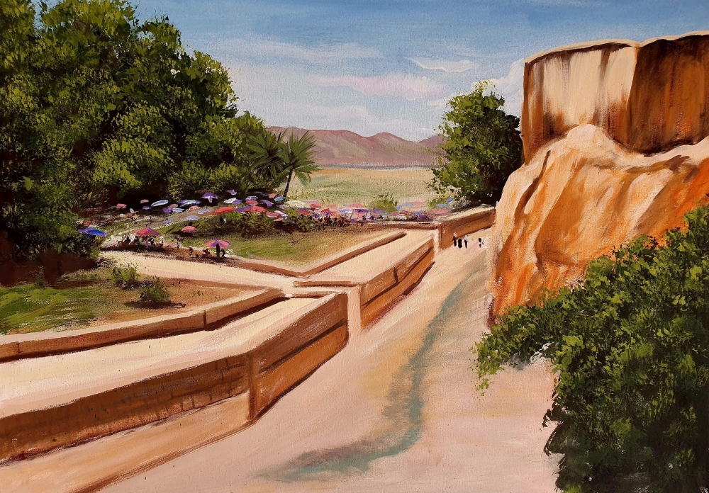 Dr Hammou true passion lies in depicting nature’s beauty