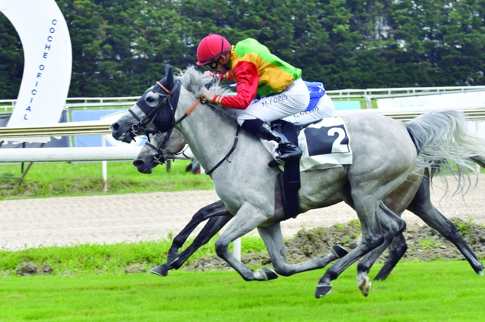 The Royal Cavalry's ‘Sawarim’ (2) crossing the finish line 