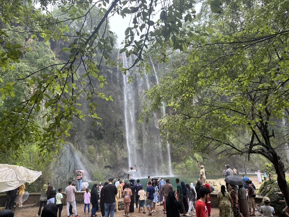 2024 brought light rains with sustained cool breezes, resulting in perfect conditions for outdoor exploration