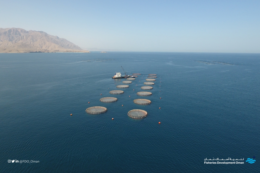 FDO at Global Seafood Expo 