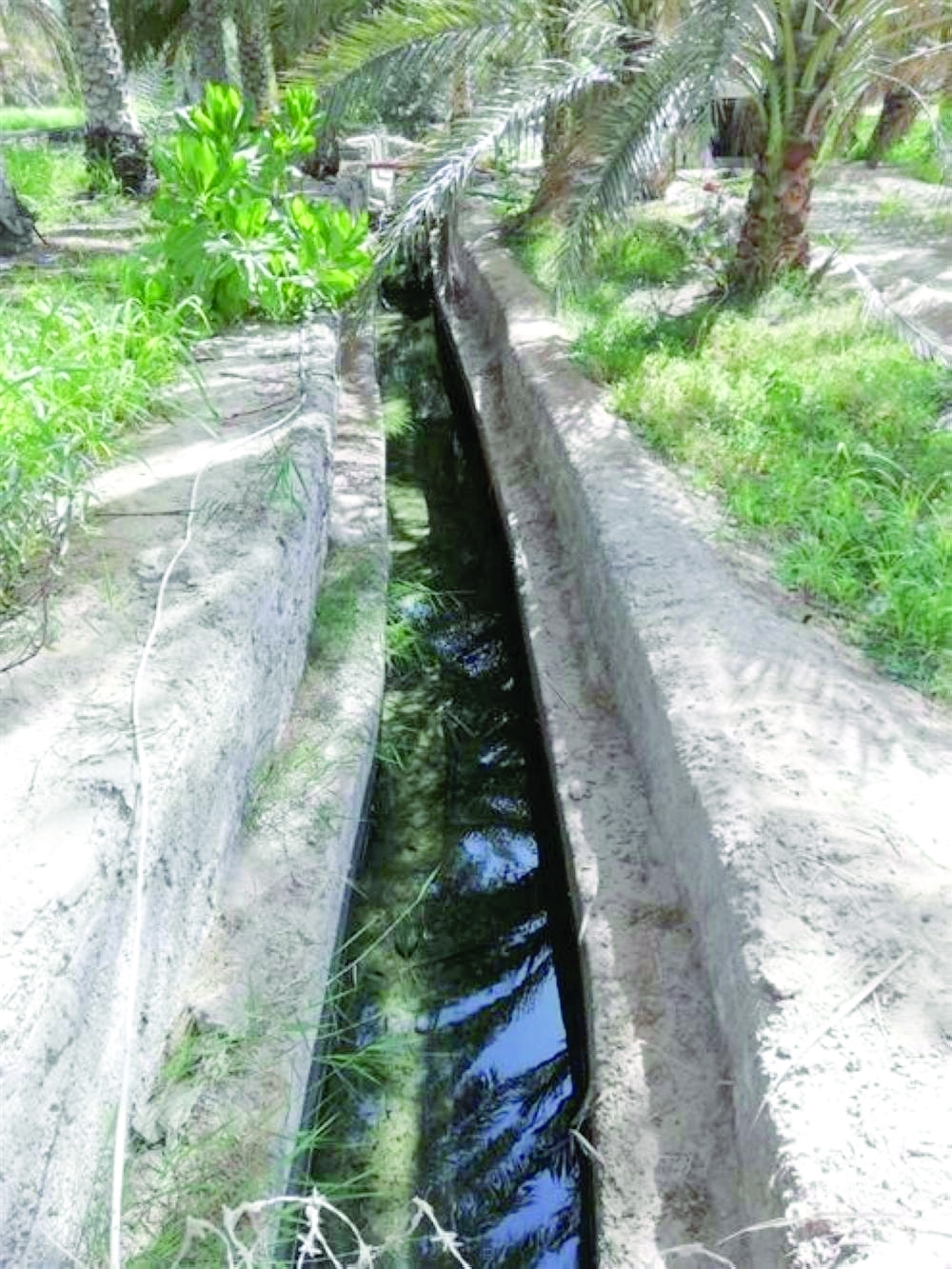 Falajs, used for centuries by Omanis to irrigate crops, are of immense importance to the country’s agricultural heritage