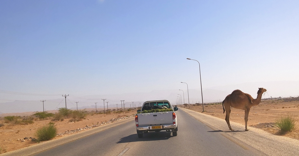 Marina while on her road trip to Salalah