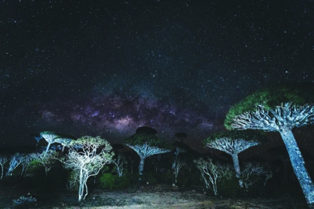 Crossing border towards Socotra’s untamed beauty