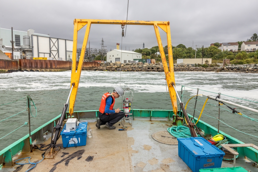 Robert Izett prepares to gather water column samples from the ocean floor in Halifax Harbour, Nova Scotia, Canada, Aug. 28, 2024. (Greta Rybus/The New York Times)