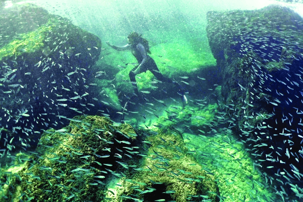 World's oceans near critical acidification level: report