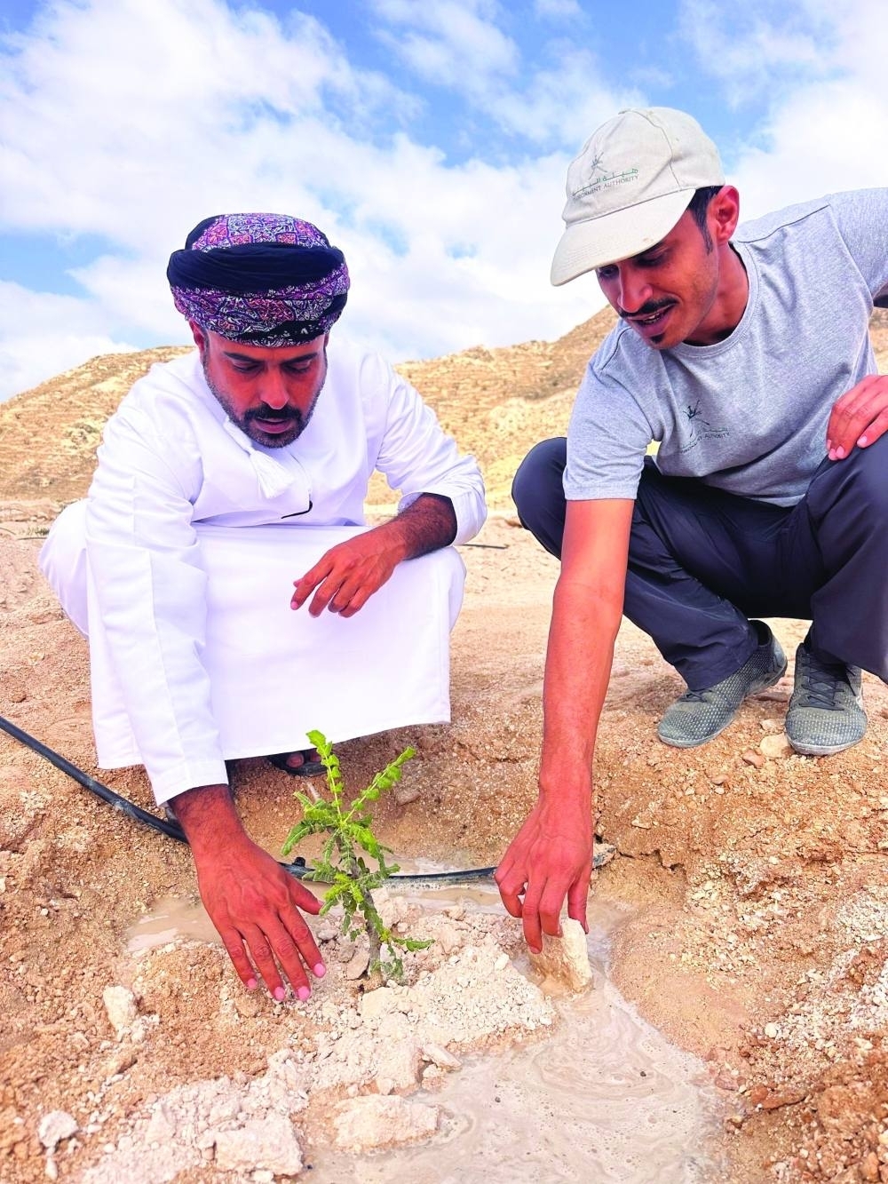  The garden's first phase saw the planting of 500 frankincense trees