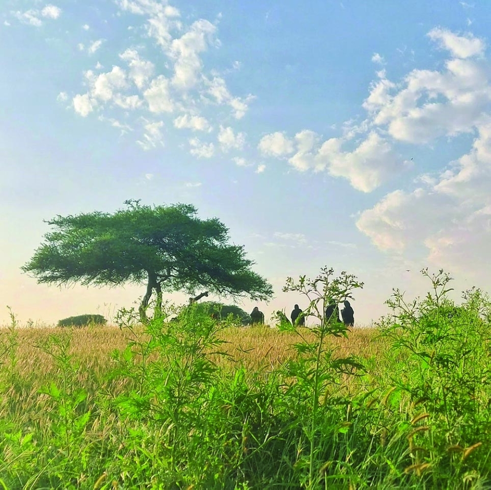 Picnic spot at Jibjat, a popular destination for hiking, camping
