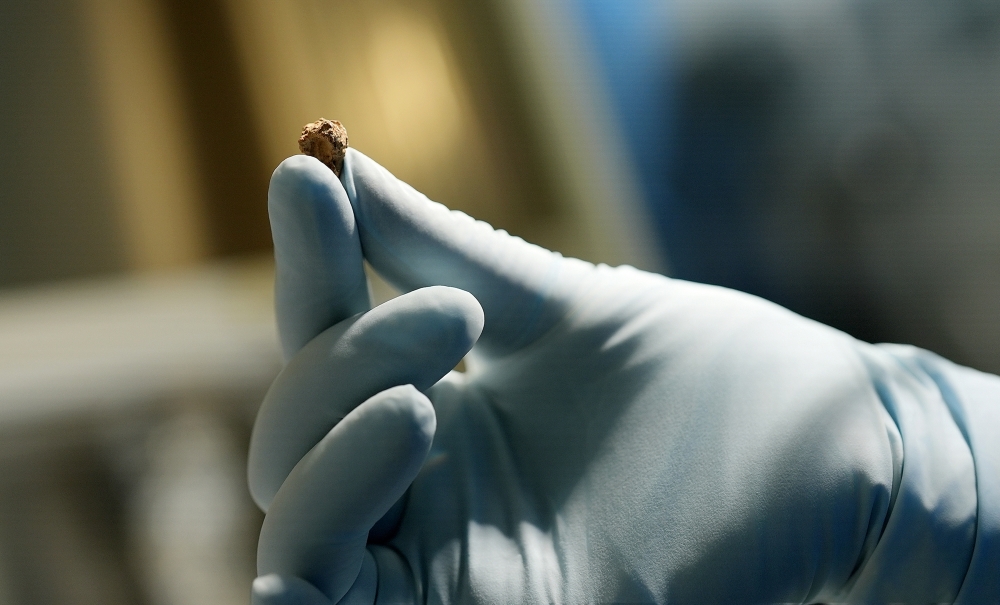 A dairy sample was found on the person of a mummy buried in the Tarim Basin of northwestern China. 