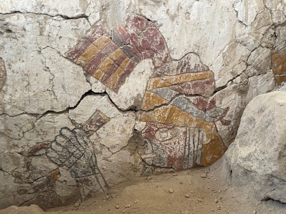 A view of a mural painting at the archaeological site of Panamarca where archaeologists have uncovered evidence that could point to a woman ruling in a coastal valley during the ancient Moche culture over 1,300 years ago, including a used throne and scenes in elaborate wall paintings, in Nepena, Peru, in this handout photo distributed on September 29, 2024. PRIA (Archaeological Research Program) Paisajes Arqueologicos de Panamarca - Lisa Trever/Handout via REUTERS ATTENTION EDITORS - THIS IMAGE HAS BEEN SUPPLIED BY A THIRD PARTY. MANDATORY CREDIT
