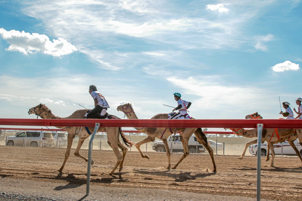 last edition of Al Bashayer festival 