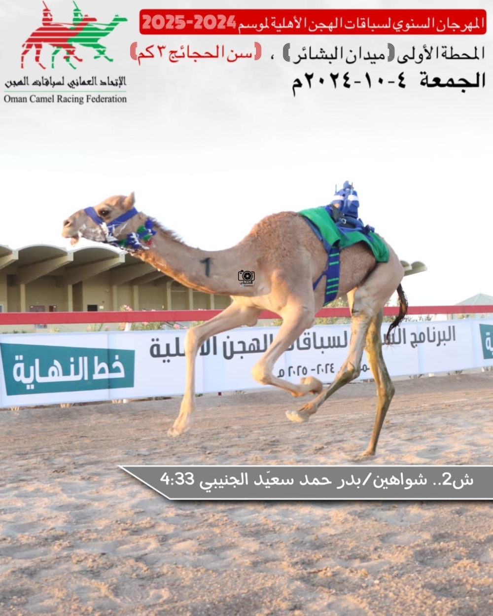 camel race 