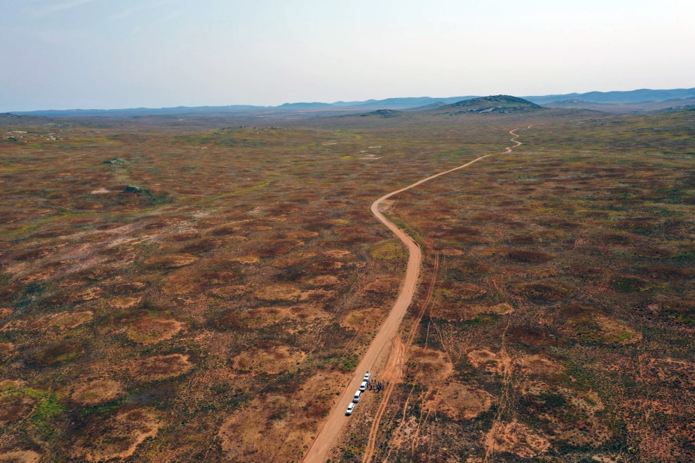 Termite mounds dot the landscape of Namaqualand in western South Africa. Locals call them heuweltjies, which means little hills in Afrikaans. (Alistair Potts via The New York Times)