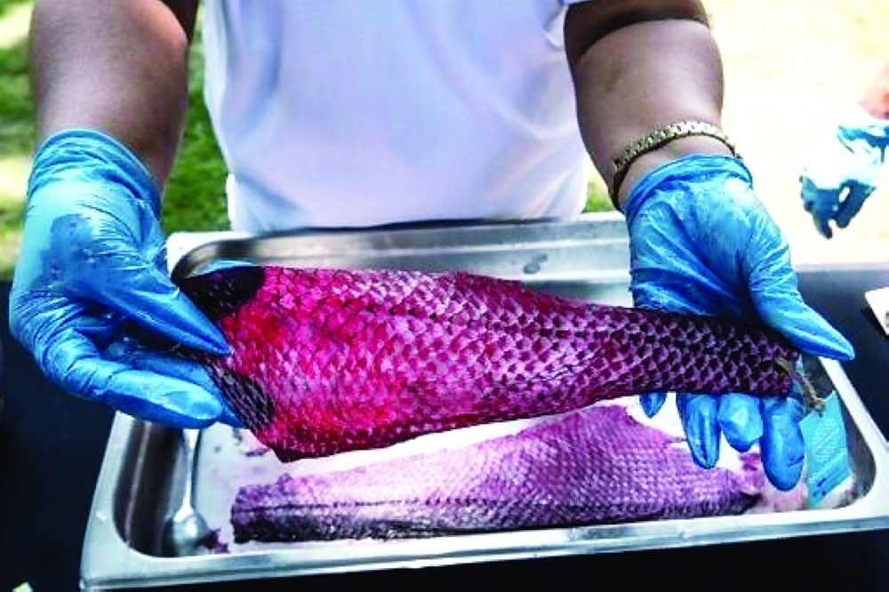 Carpe diem: the Costa Rican women turning fish into fashion