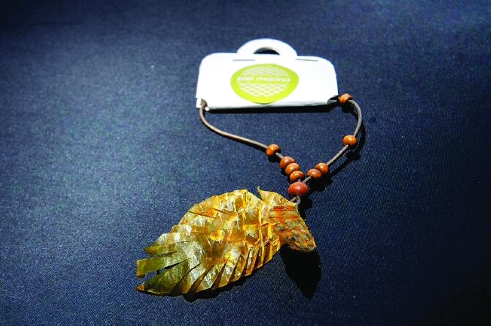 Carpe diem: the Costa Rican women turning fish into fashion