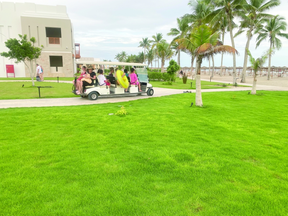 With luxury resorts and cultural experiences, Salalah is positioning itself as a premier destination for winter tourism