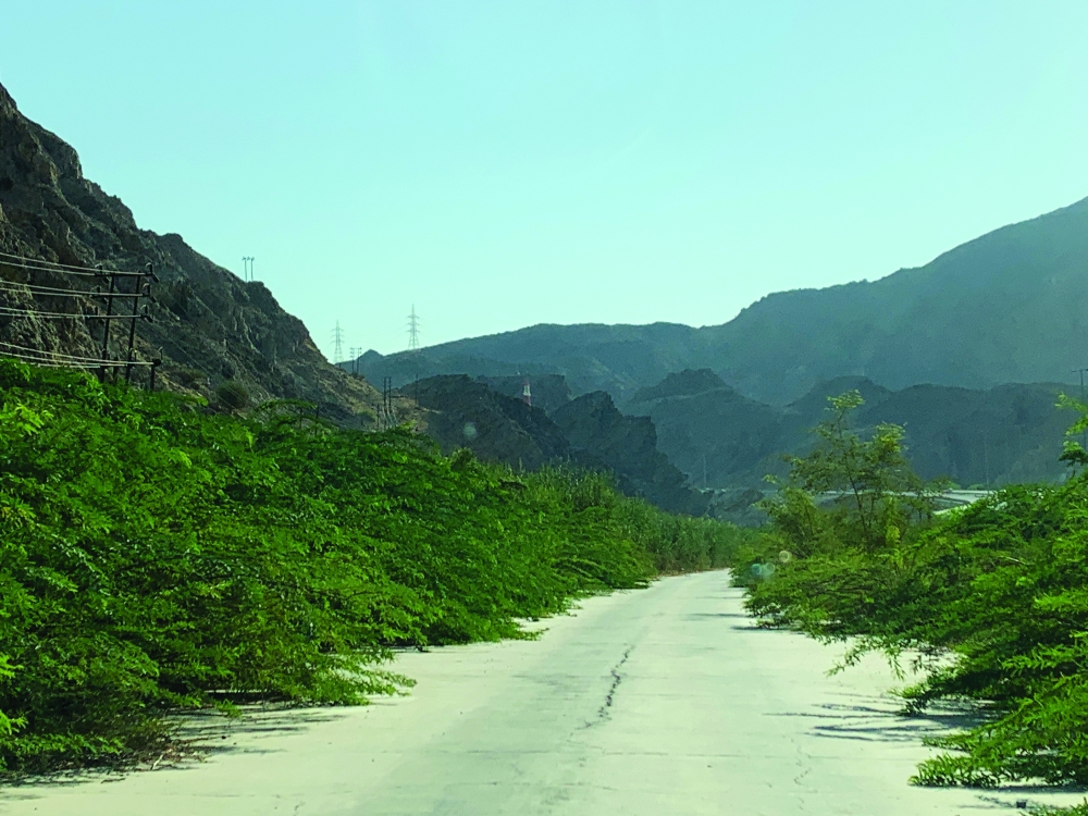 The ultimate goal is to create a sustainable environment that everyone can help protect