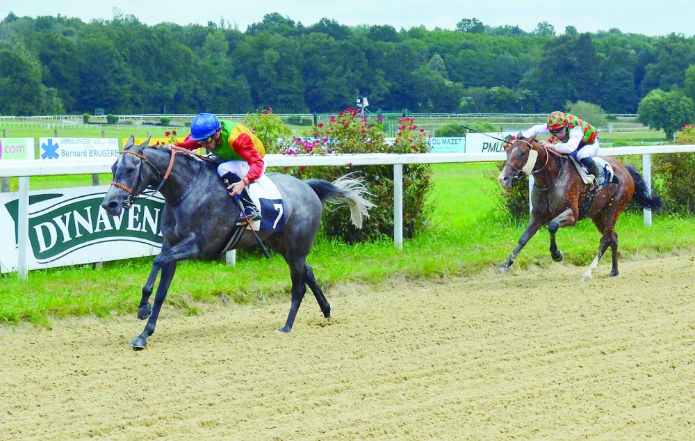 Royal Cavalry shines on French track