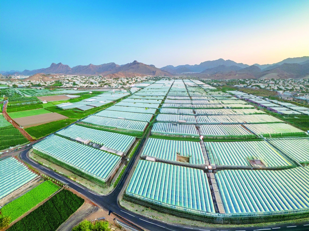 Agricultural Cities project to boost food security