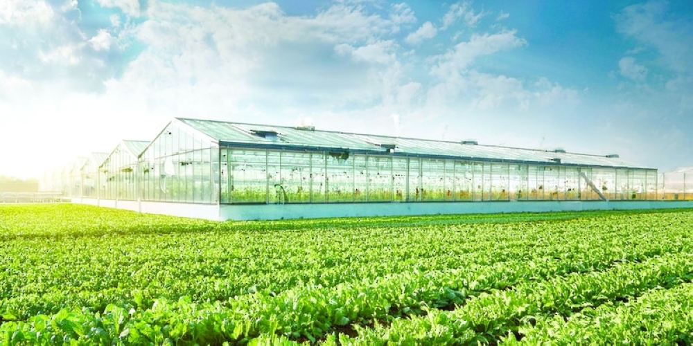 Agricultural Cities project to boost food security
