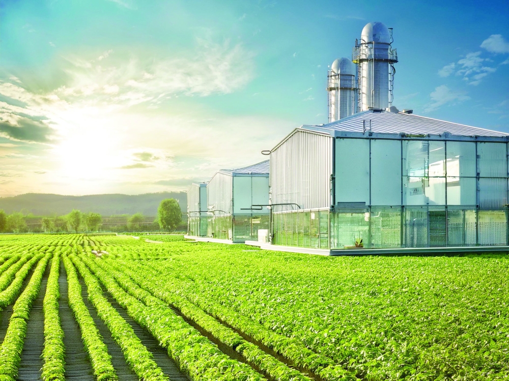 Agricultural Cities project to boost food security